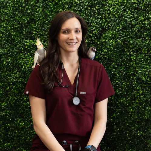 Stephanie Yates, DVM