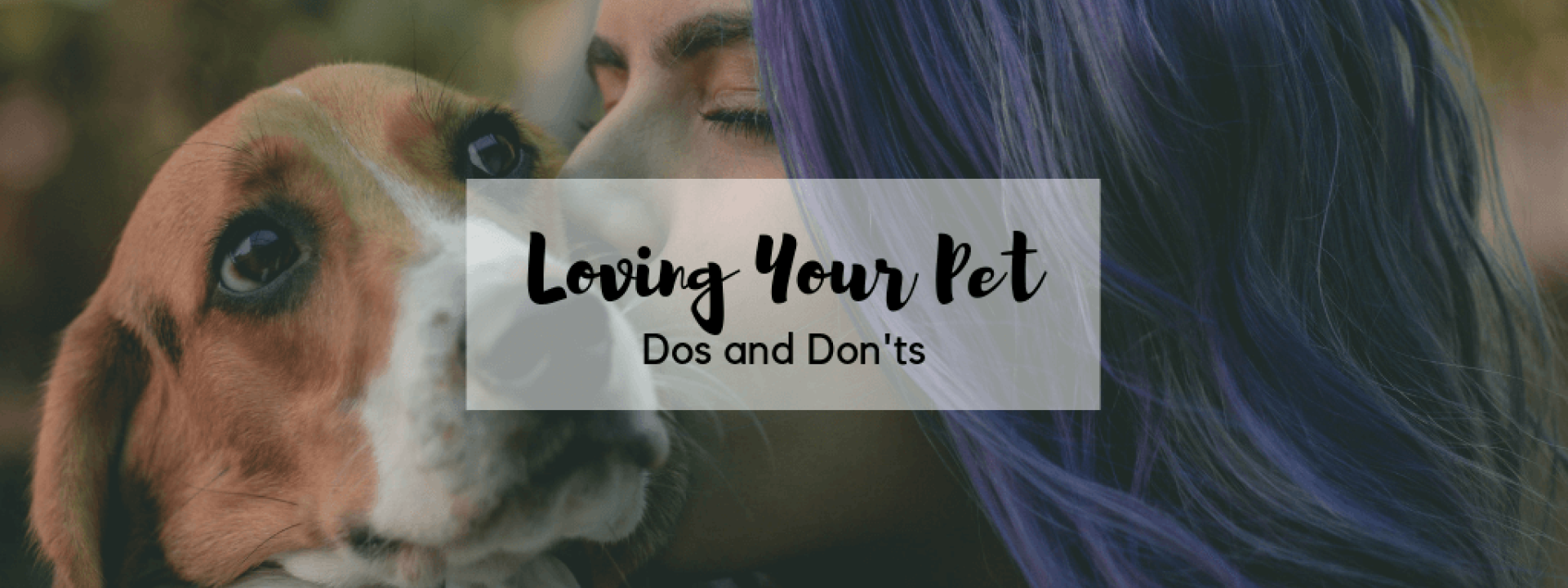 Loving-your-pet-blog-header.png