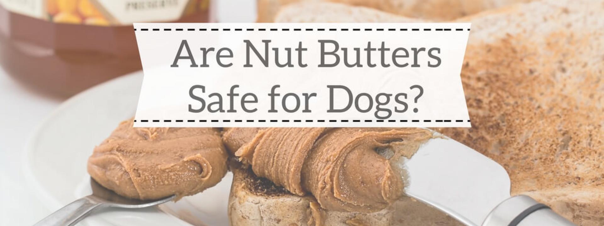 Nut-Butters-Dogs-Blog-Header.jpg