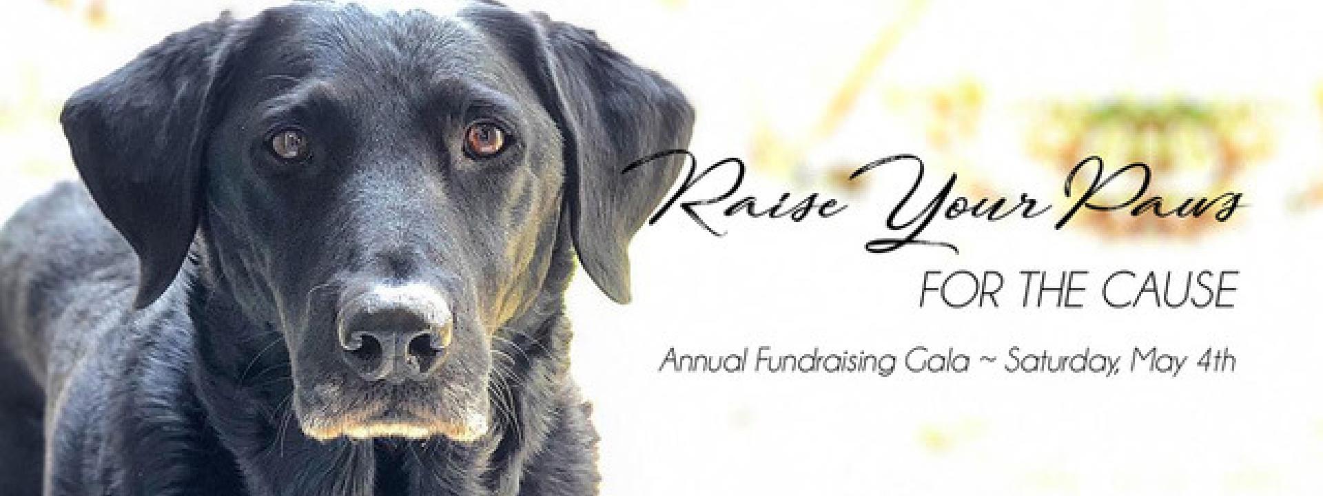 Midwest Lab Rescue Annual Fundraising Gala