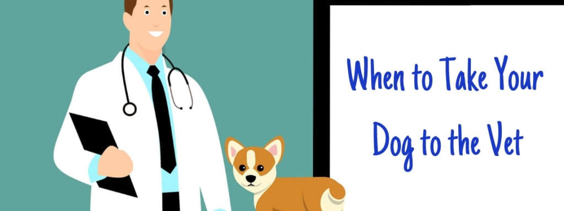 Ways To Entertain Your Dog While You're Away - Duvall Veterinary